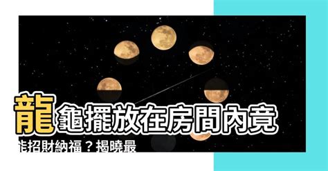 龍龜可以放房間嗎|臥室風水：龍龜擺放風水禁忌 不可正對床頭